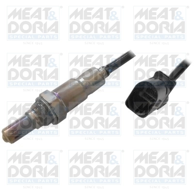 Oxygen Sensor